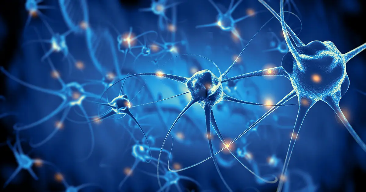 Brain Imaging Come Agisce Il Nostro Cervello Secondo Il Neuromarketing