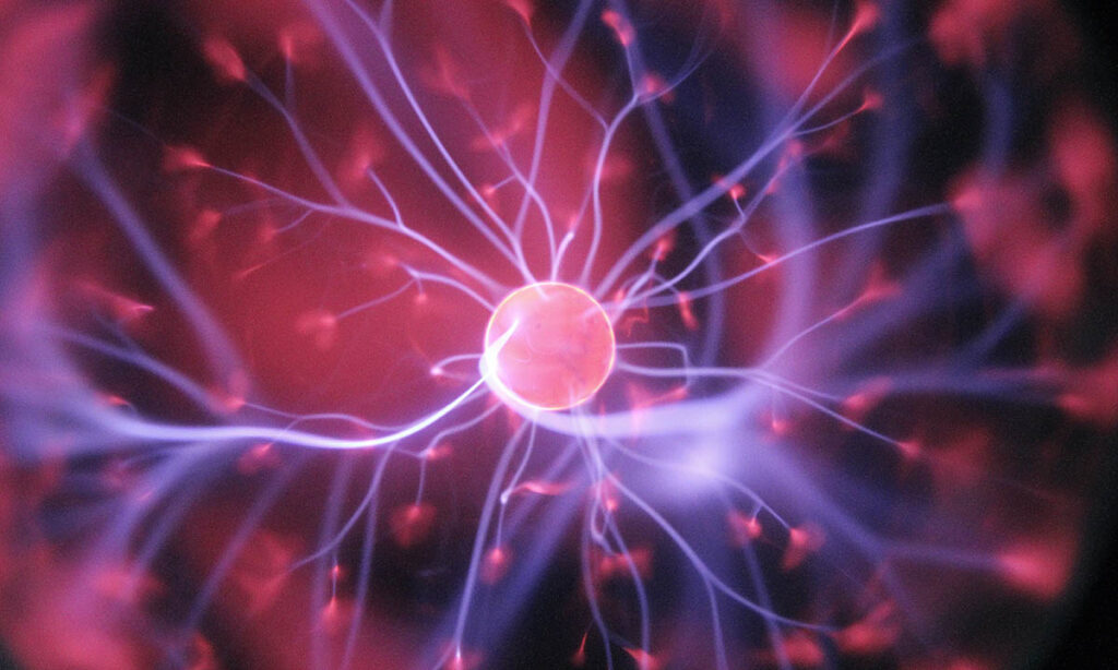 Cellule neurali: cervello e neuromarketing
